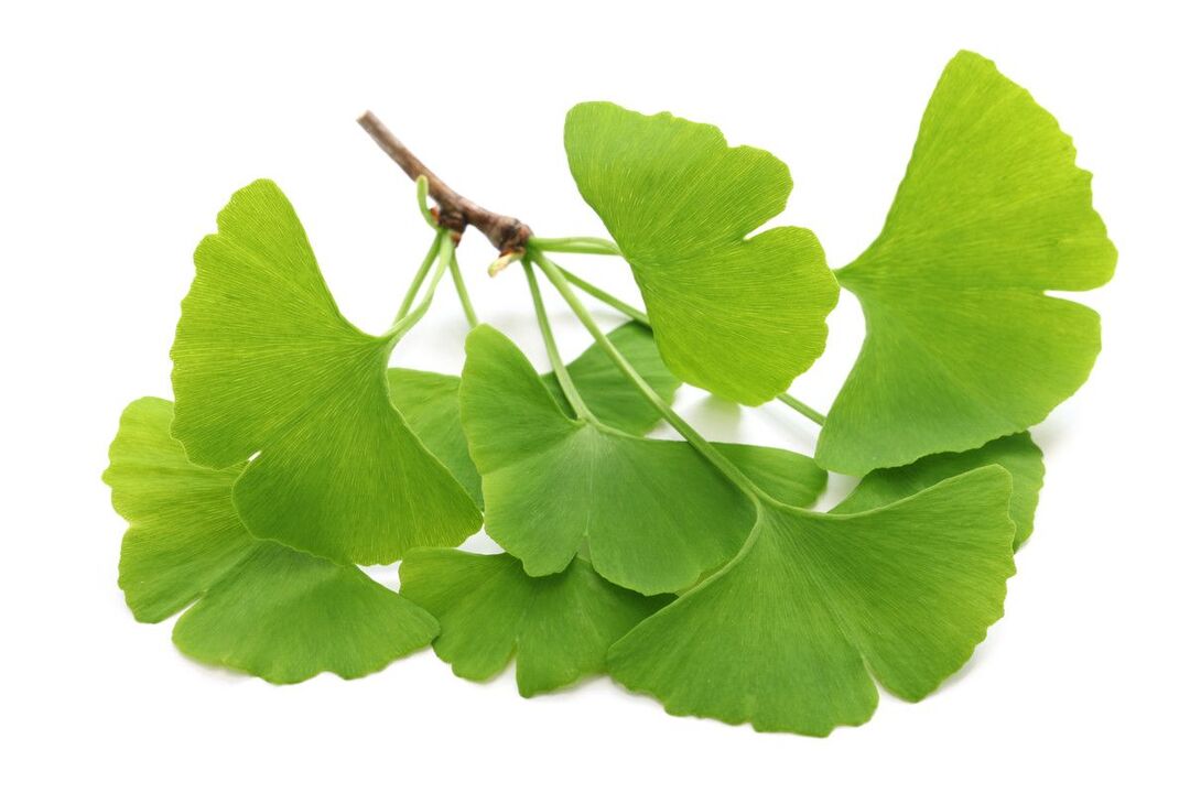 ginko biloba σε σταγόνες Alcozar